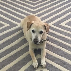 Meet your Posher, Celia